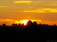 Sommerfest Baumberge 2010 255